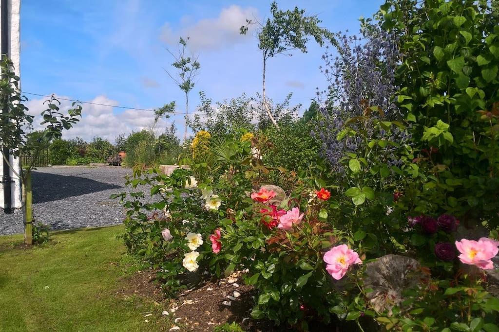 The Burren Art Gallery Built In 1798 Villa Tubber ภายนอก รูปภาพ